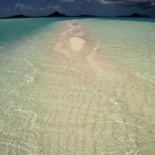 Here today gonne tomorrow, it is what it is