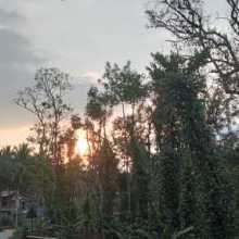 Hai,I love nature silent Beauty, I want learn language and have long time friends across world ,I love children and pets 