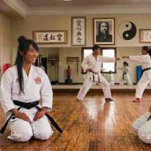 Goju-Ryu Karate Do