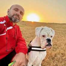 Yo y mi perro 
