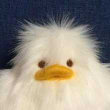 Hello