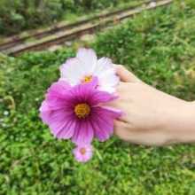 I from China and i'm looking for english partner